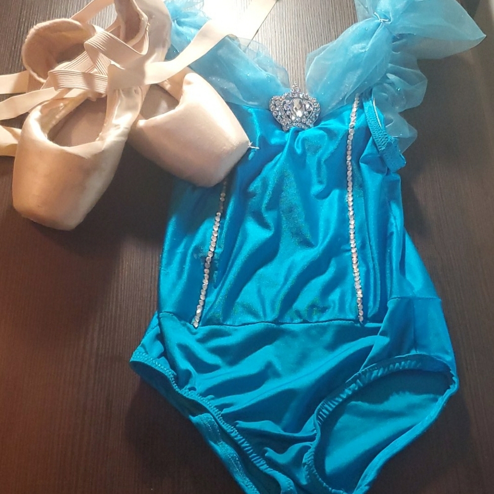 Cinderella theme dance costume